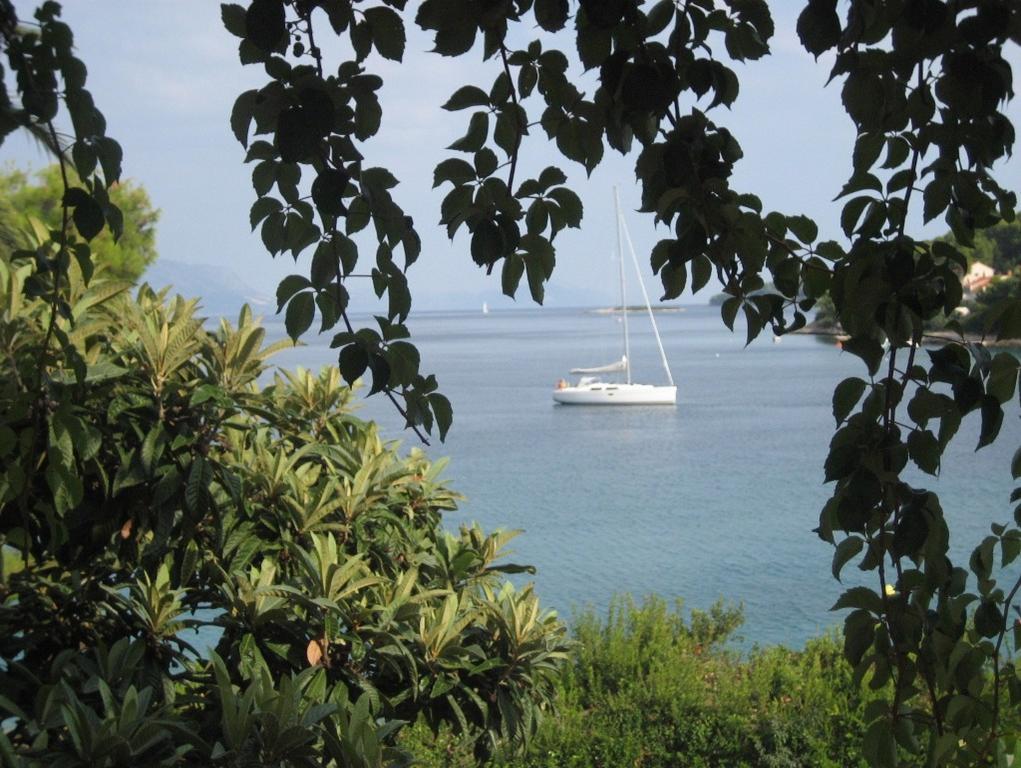 Apartments Villa Diha Korcula Town Exterior photo